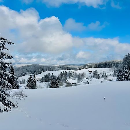 Апартаменти Schwarzwald Nescht Triberg Triberg im Schwarzwald Екстер'єр фото