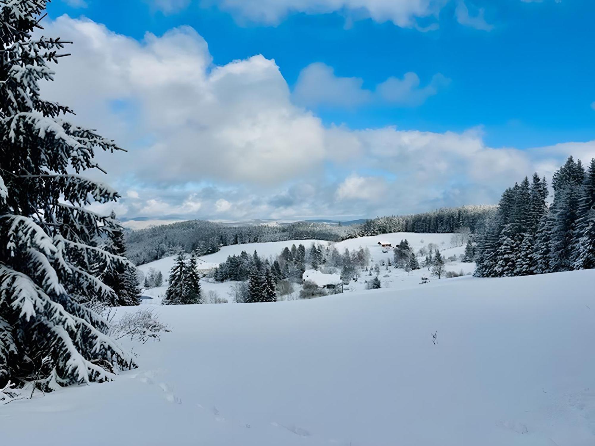 Апартаменти Schwarzwald Nescht Triberg Triberg im Schwarzwald Екстер'єр фото